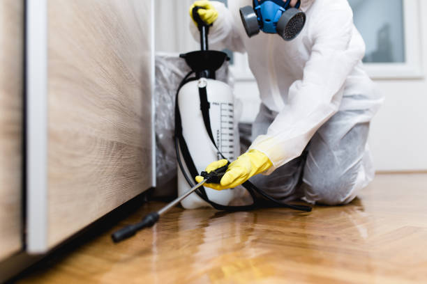Best Flea Control Services  in La Huerta, NM