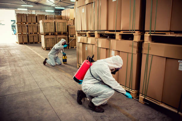 Best Pest Inspection Near Me  in La Huerta, NM