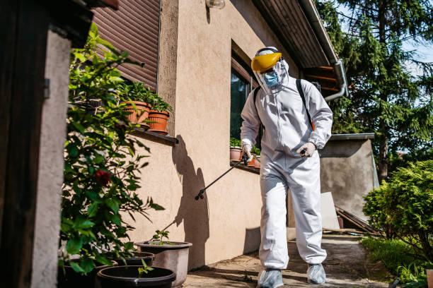 Best Emergency Pest Control  in La Huerta, NM