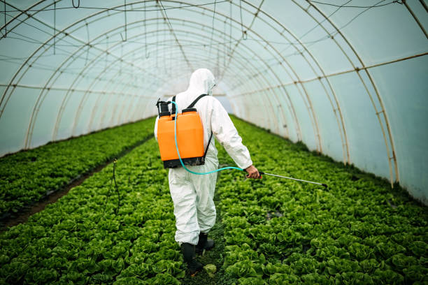 Best Residential Pest Control  in La Huerta, NM