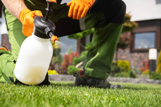 Best Pest Removal Services  in La Huerta, NM